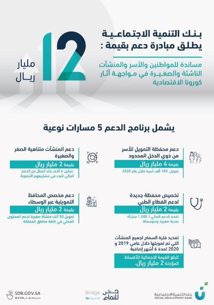 قروض الضمان المطور